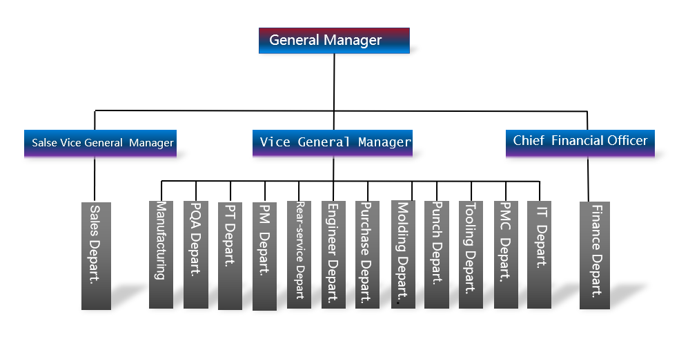 Organizational Structure(图1)